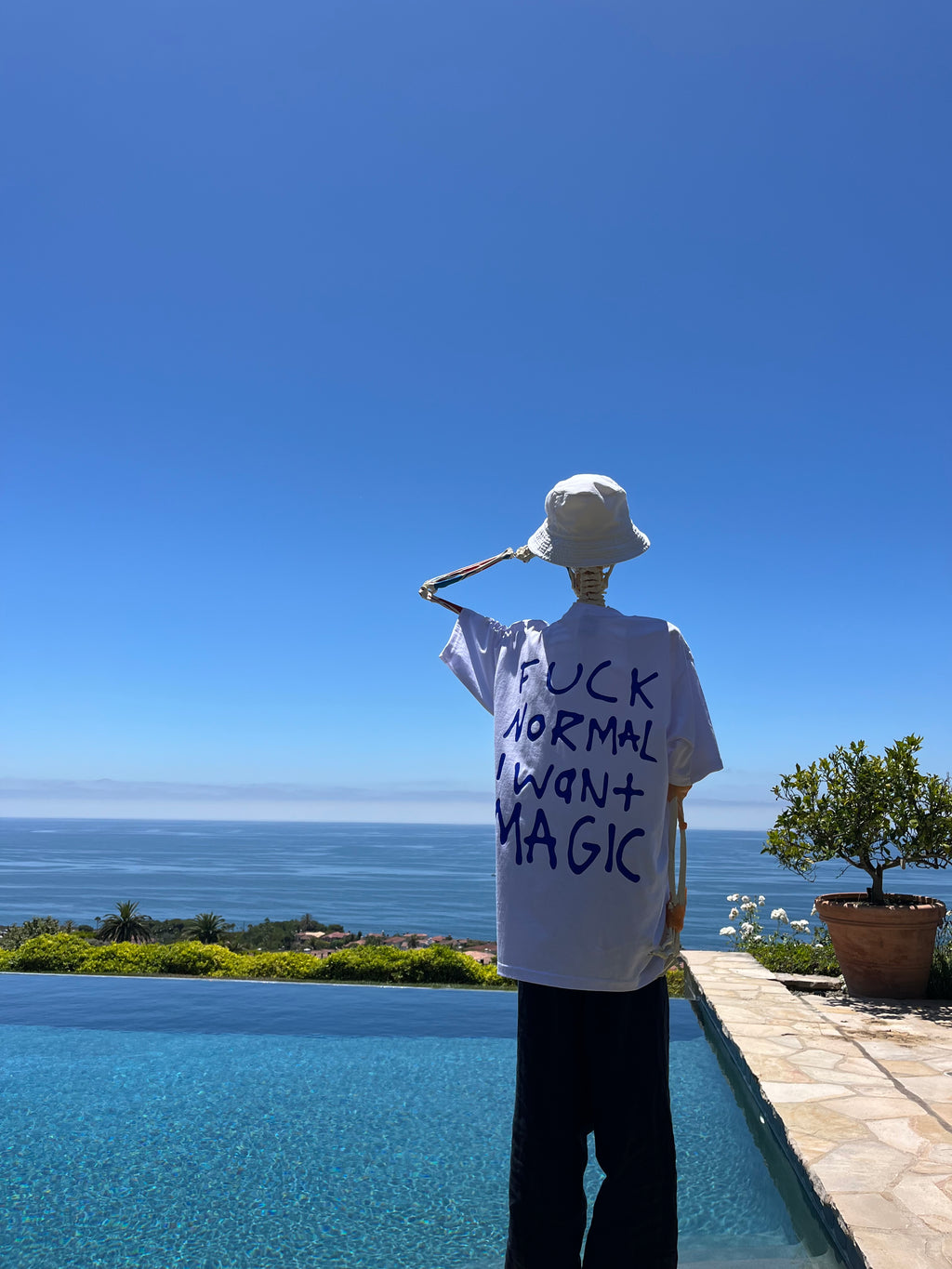 F normal i want magic